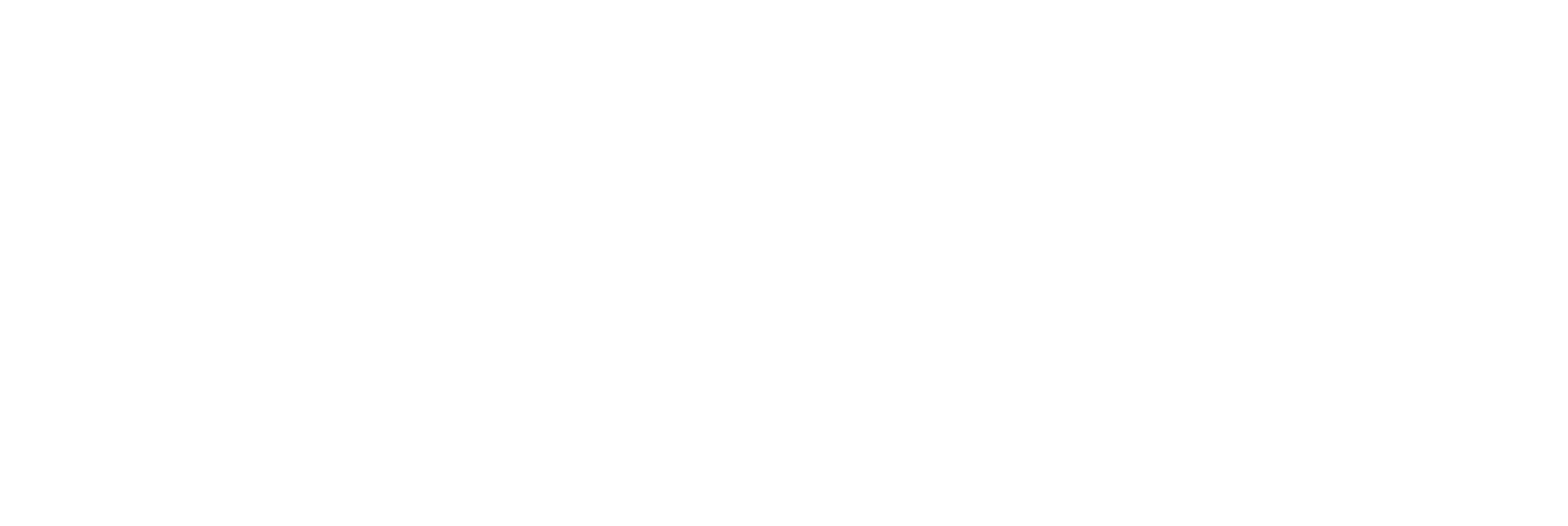 Bárbara Leão de Carvalho